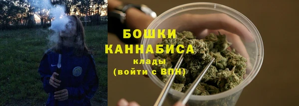 ПСИЛОЦИБИНОВЫЕ ГРИБЫ Богородицк