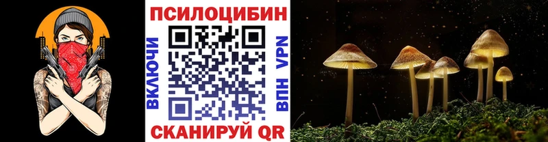Псилоцибиновые грибы MAGIC MUSHROOMS  это формула  Яранск 